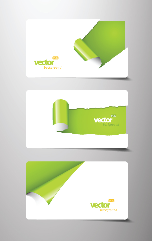 free vector Beautiful card template 05 vector